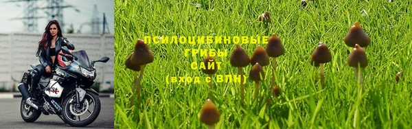 мдпв Красноперекопск