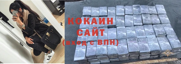 дживик Козельск